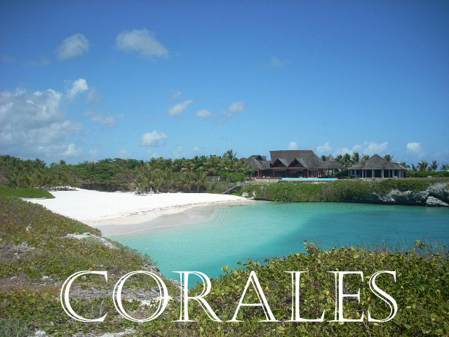 puntacana_beach Corales
